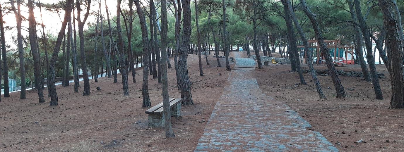 Το Αλσύλλιο